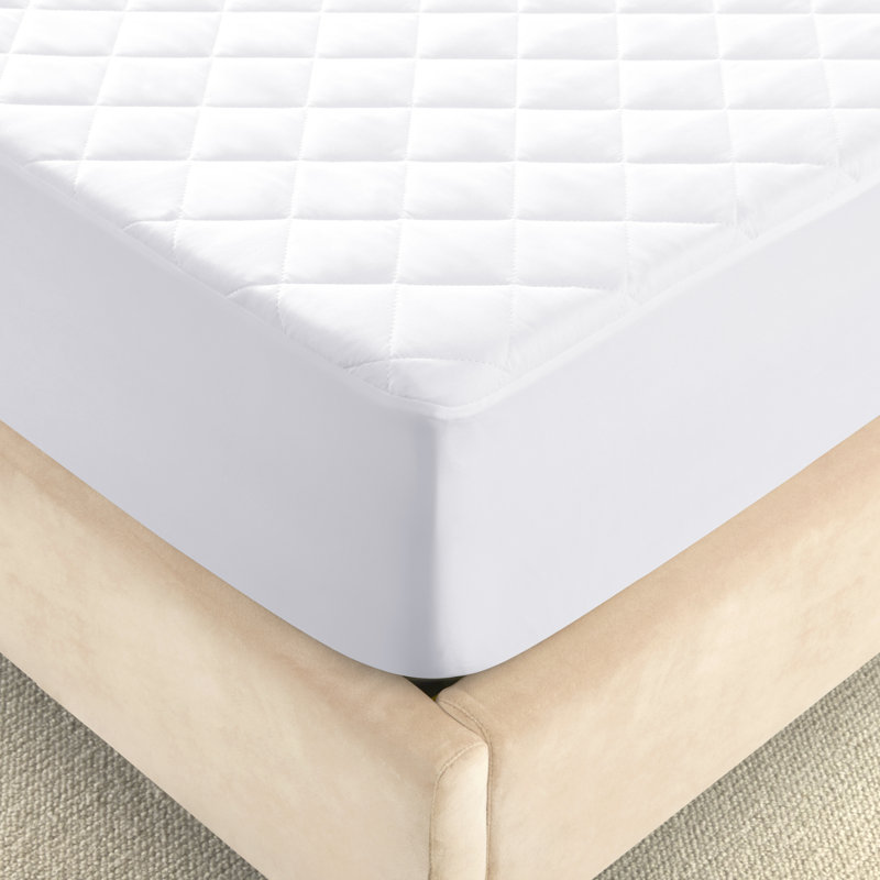 Alwyn Home Maryborough Fitted Mattress Protector Wayfair